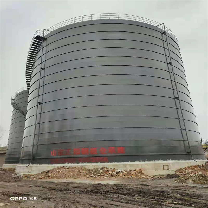 高邮3万吨大型钢板库